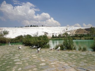 Памуккале: белите водопади, създадени от...